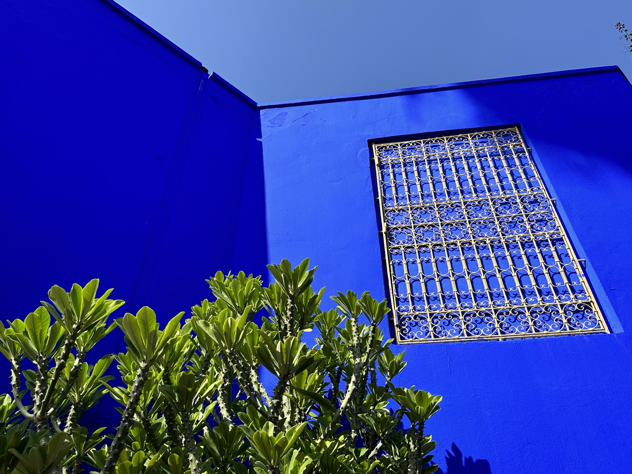 Bleu de Majorelle