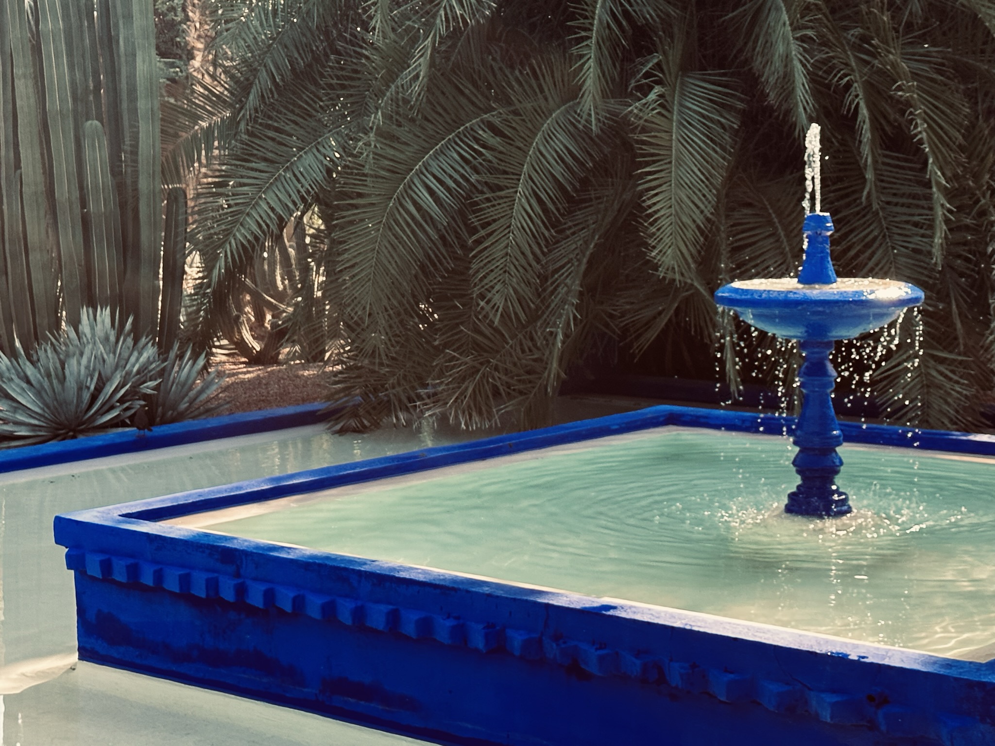 Majorelle